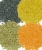 Clear Creek 100 LBS  Lentil Bundle: Beluga, Gold, Green, Red Lentils - 25 lbs each Perspective: back