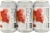 Potter's Grapefruit Hibiscus Session Cider Perspective: back