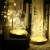 LED Christmas Tree Fairy String Party Lights Lamp Xmas Waterproof (warm white 50 LED) Perspective: back