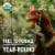 Vital Farms® Pasture-Raised Large Brown Organic Eggs Perspective: back