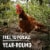 Vital Farms® Pasture-Raised Large Brown Eggs Perspective: back