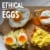 Vital Farms® Pasture-Raised Large Eggs Perspective: back