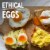 Vital Farms® Pasture-Raised Large Eggs Perspective: back
