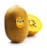 Jingold® Golden Kiwi Perspective: back