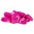 Geomag Kor Egg Covers - Pink - 26-Piece Creative Magnet Cover Addition Perspective: back