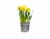 Spring Bulb Fresh Plants in 6 inch Pot - Assorted Perspective: back