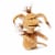 Stuffed Star Wars Plush Toy - 7" Talking Salacious Crumb Doll Perspective: back