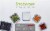 Snapware® Total Solution® Pyrex® Glass Storage Set Perspective: back