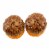 Transpac 3.00 Patterned Acorn Salt & Pepper Shaker Set Autumn Thanksgiving Seasonal Tableware Perspective: back
