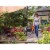 BLACK + DECKER Powerboost 20-Volt Max Lithium Cordless Sweeper/Blower Perspective: back