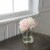 Pure Garden Hydrangea and Rose Floral Arrangement &#150; Pink and Cream Perspective: back