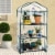 Pure Garden 50-176-3GH 27.5 x 19 x 50 in. 3 Tier Mini Greenhouse with Cover , Green Perspective: back
