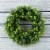 Artificial Opal Basil Leaf 11.5 inch Round Wreath by Pure Garden Perspective: back