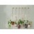 National 2649 8 In. Brushed Gold Steel Modern Large S-Hook Plant Hanger N275-518 Perspective: back