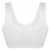 Dip Seamless Ribbed Ivory Bralette Perspective: back