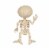 Holiday Home 7" Crazy Bonez Standing Vampire Skeleton Halloween Decor Perspective: back