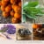 Holiday Home Glass Pumpkin Candle Sage Perspective: back