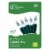 Holiday Home® LED Green Wire Mini Christmas Lights - Cool White Perspective: back
