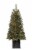 Holiday Home Beaufort Fir Potted Tree with Color Changing Cluster LED Lights Perspective: back