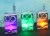 Holiday Home LED PVC Luminary Mummies - Multicolored Perspective: back