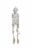 Holiday Home 16" Hanging Mummy Skeleton Halloween Decor Perspective: back