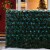 Holiday Home® Green Wire Christmas Lights - Blue Perspective: back