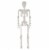Holiday Home Blacklight Skeleton White Perspective: back
