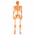 Holiday Home Pose N Stay Skeleton - Orange Perspective: back