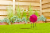 HD Designs Outdoors Red Crackle Gazing Ball Perspective: back