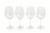 Dash Of That 4 Pack Red Wine Glasses Perspective: back