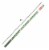 Holiday Home 40 Inch Holiday Treats Gift Wrap Roll Perspective: back