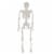 Holiday Home Blacklight Handing Skeleton - White Perspective: back