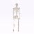 Holiday Home Pose N Stay Skeleton - White Perspective: back
