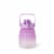Everyday Living® Motivational Bottle Plastic - Purple Perspective: back