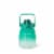 Everyday Living® Motivational Bottle Plastic - Green Perspective: back