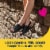 Dr. Scholl's® Stylish Step™ Clear Discreet Cushioning Insoles for Flats Perspective: back
