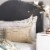Safavieh Adalie Pillow - Beige/Gold Perspective: back