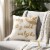 Safavieh Cold Outside Square Pillow - Beige/Gold Perspective: back