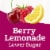 Juicy Juice Splashers Organic Juice Berry Lemonade Perspective: back