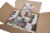Flower Fairies Mixed Case Gift Pack Fairies For Garden, Bulk (Pack of 8) Perspective: back
