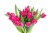Fresh Cut Tulips Perspective: back