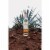 Tequila Ocho Reposado Single Estate Perspective: back