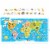 What in the World.  Animals Around the Globe Perspective: back