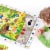 Observation Puzzle Garden Perspective: back