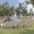 Simplie Fun Spacious Pet Playpen & Chicken Coop Safe & Secure Haven for Small Animals Perspective: back