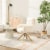 Accent Chairs in faux fur for Home or Office Use Perspective: back