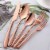 Kitcheniva Silverware Flatware Cutlery Set Of 20 - Rose Gold Perspective: back