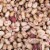 Dried Cranberry Beans - 15 oz Perspective: back