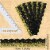 Gold Confetti Bulletin Board Borders, Black,Gold Perspective: back