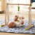 HABA Color Fun Play Gym Activity Center Perspective: back